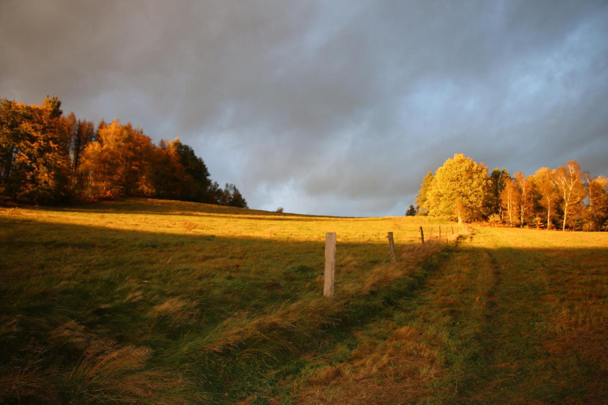 Gasthaus "Zum Wanderstuebel" Hinterhermsdorf Zewnętrze zdjęcie